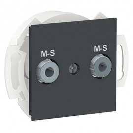 Prise multiservices Unica - 2 modules - Anthracite