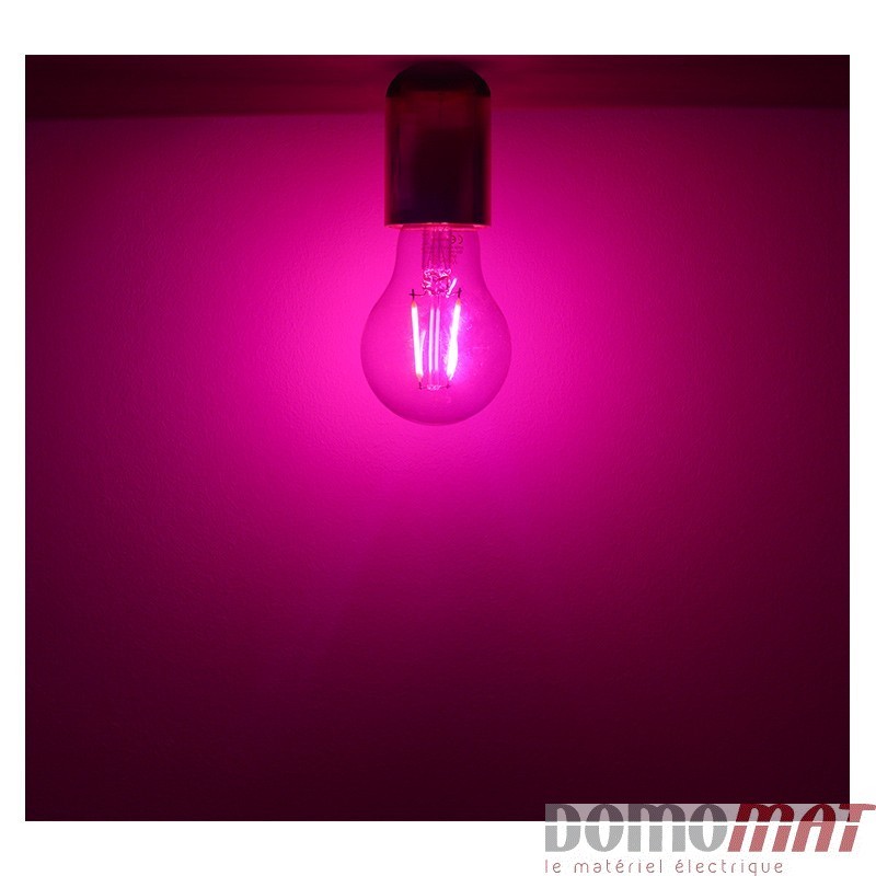 Acheter une ampoule led à filament 2W, rose, RGB de Visionel