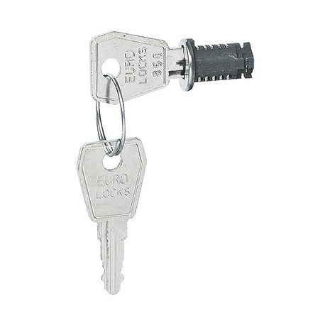 Serrure à clé n°850 - Pour coffret Plexo