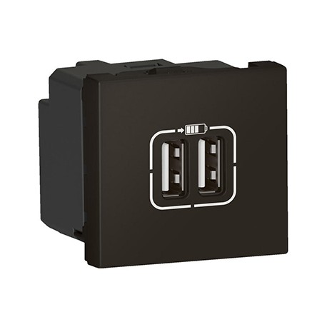 Prise 2xUSB type-A Mosaic - 2,4A - 12W - 2 modules - Noir mat