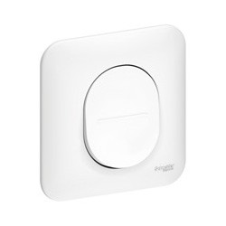 Prêt-à-poser Ovalis Schneider Electric Ancienne génération