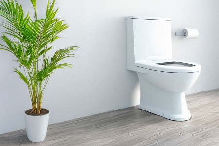 WC / Toilettes