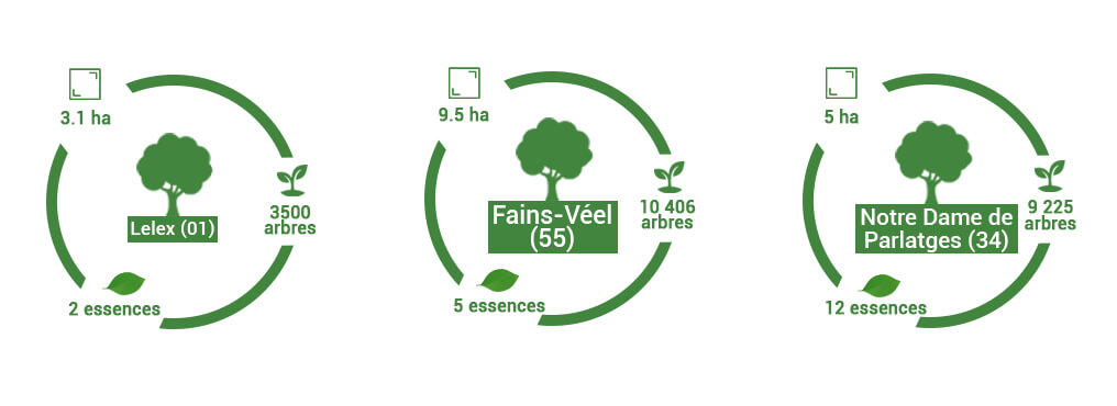 3 forêts sélectionnées par Domomat chez Reforest'Action