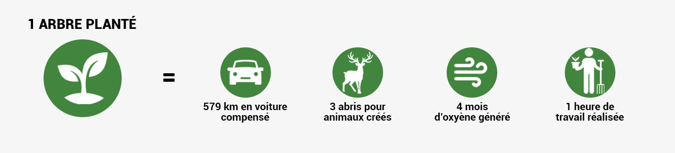 Planter un arbre