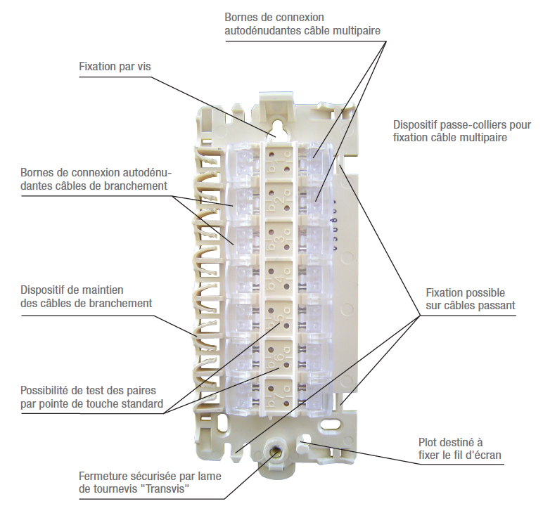 Schema du pdi