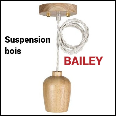 Suspension design Bailey