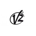 V2
