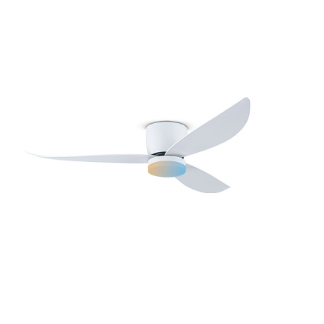 Ventilateurs de plafond